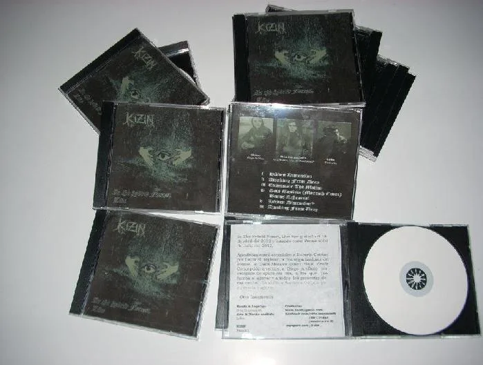 In the Hybrid Forest, Live cover