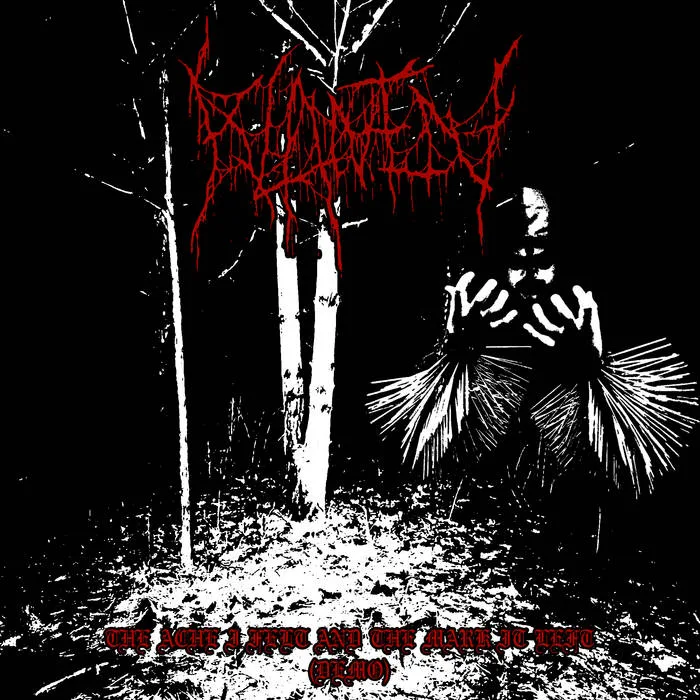 The Ache I Felt and the Mark it Left cover