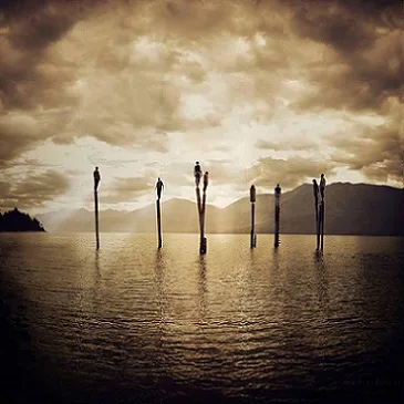 Here Comes the Sun cover