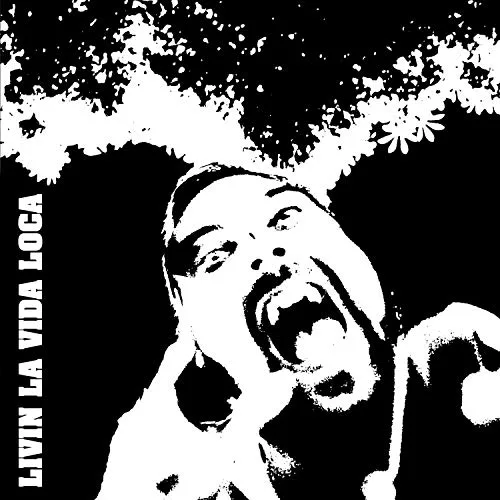 Livin' la Vida Loca cover