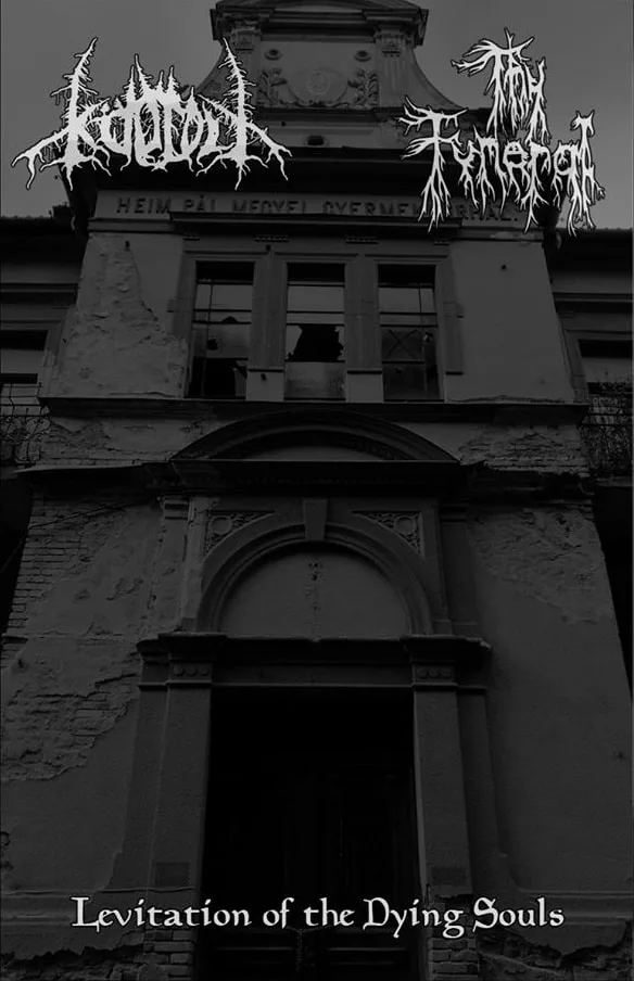 Levitation of the Dying Souls cover