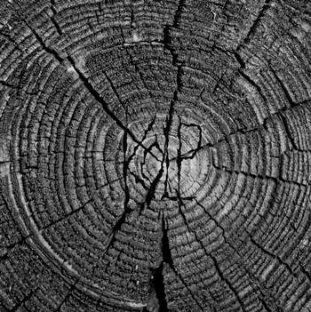 Cured but Not Healed cover