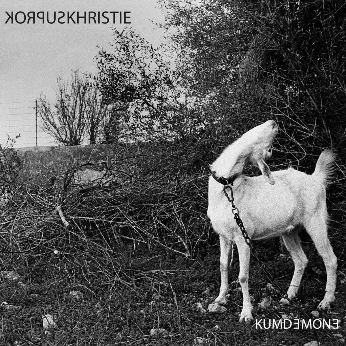 Kum Demone cover
