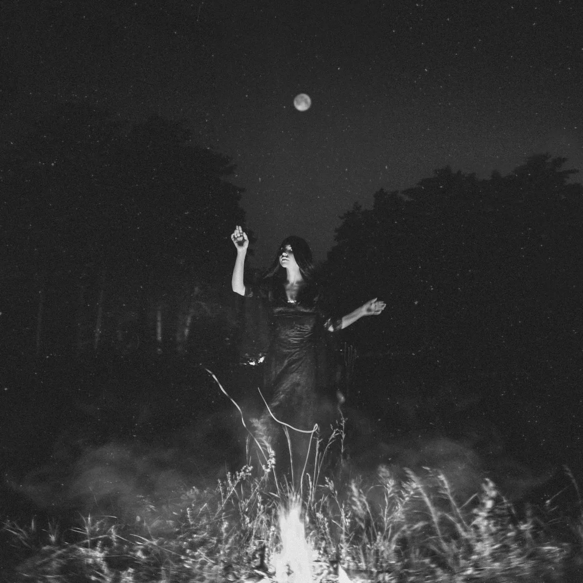 In the Territory of Witches cover