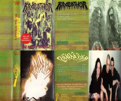 The Rise of Brutality / Pain cover