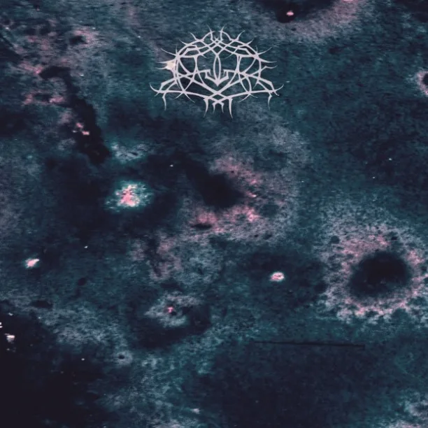 Rot and Waste Live cover