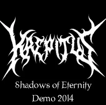 Shadows of Eternity Demo 2014 cover