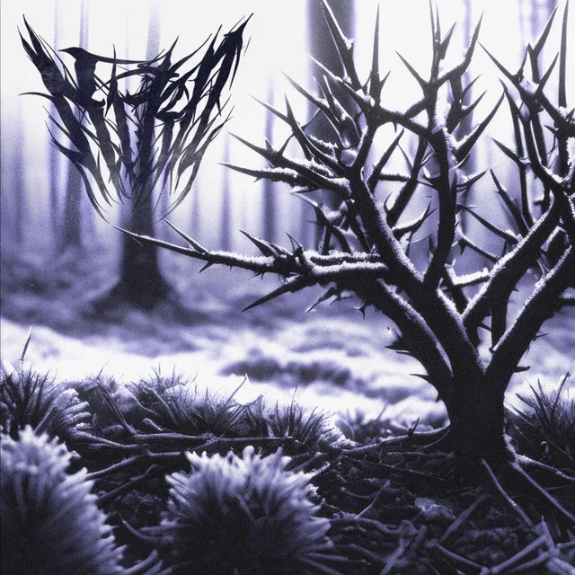 The EverThorn (instrumental) cover