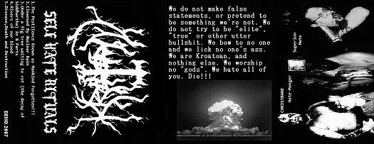 Self Hate Rituals cover