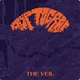 The Veil cover