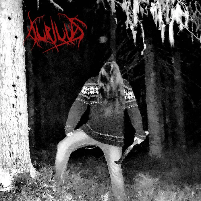 En hautaa kirvestäni koskaan cover