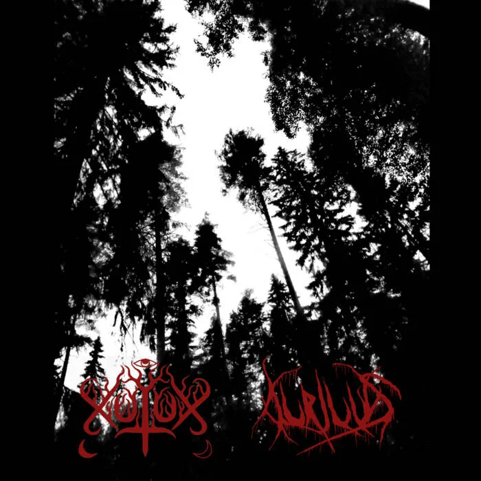 Xulux - Kurjuus Split cover