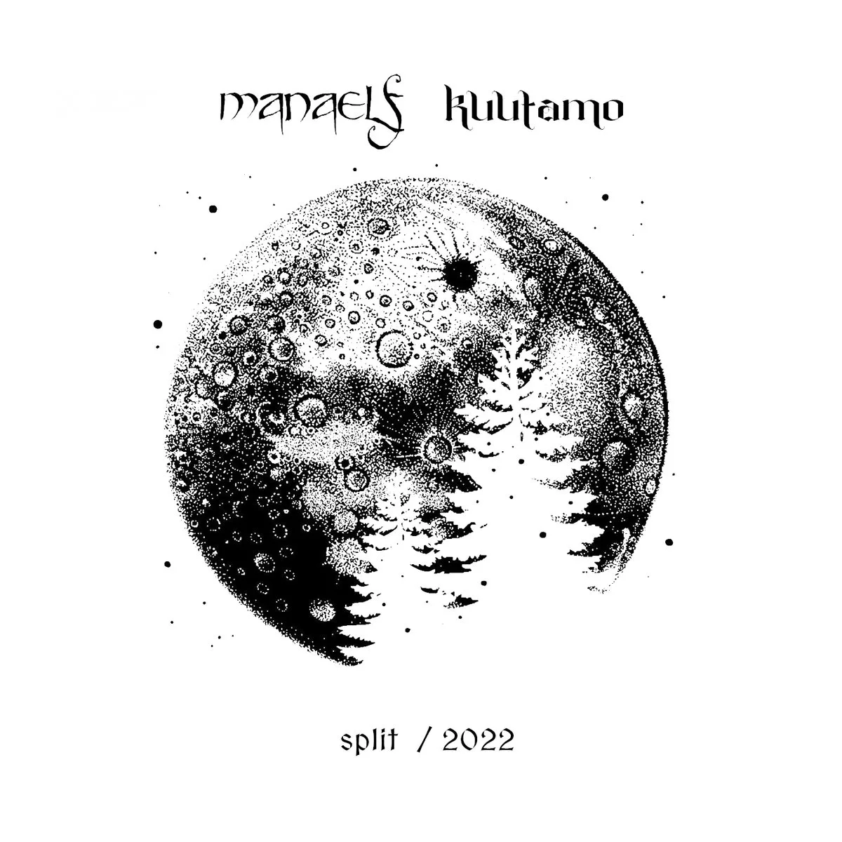 Split / 2022 cover