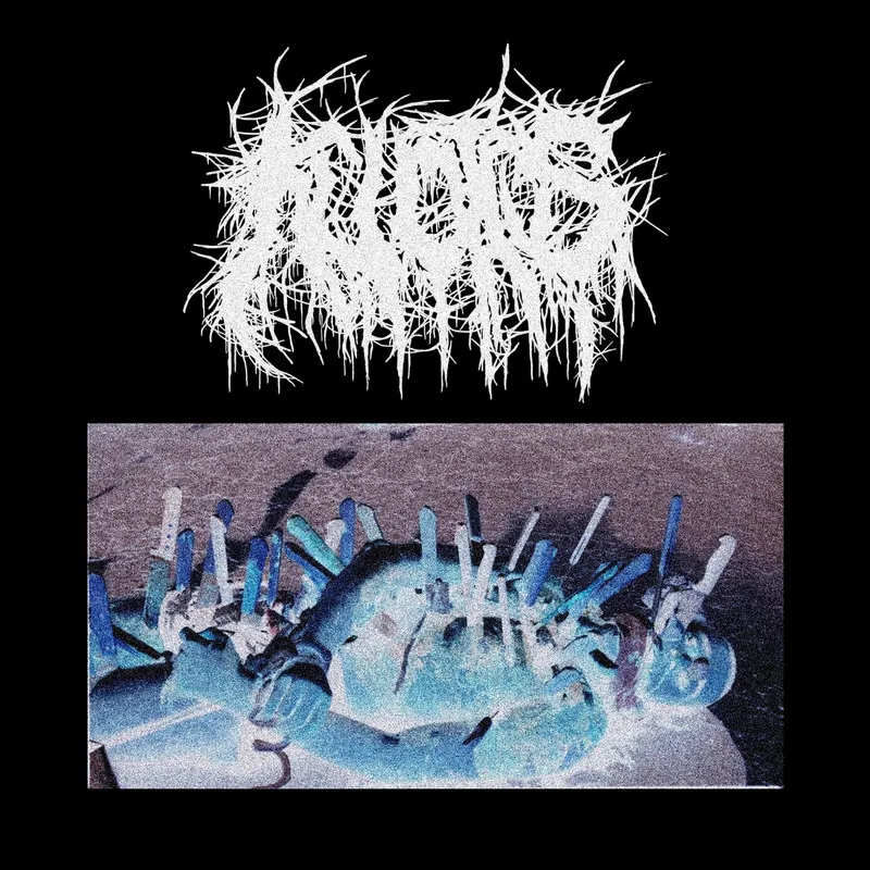 Kuvotus cover