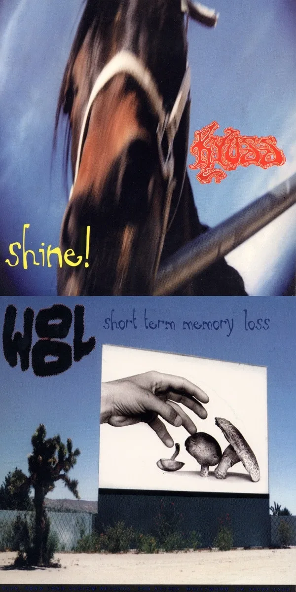 Shine! / Short Term Memory Loss cover