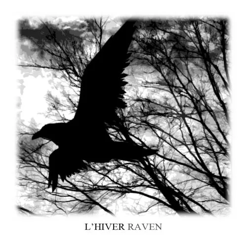 Raven cover