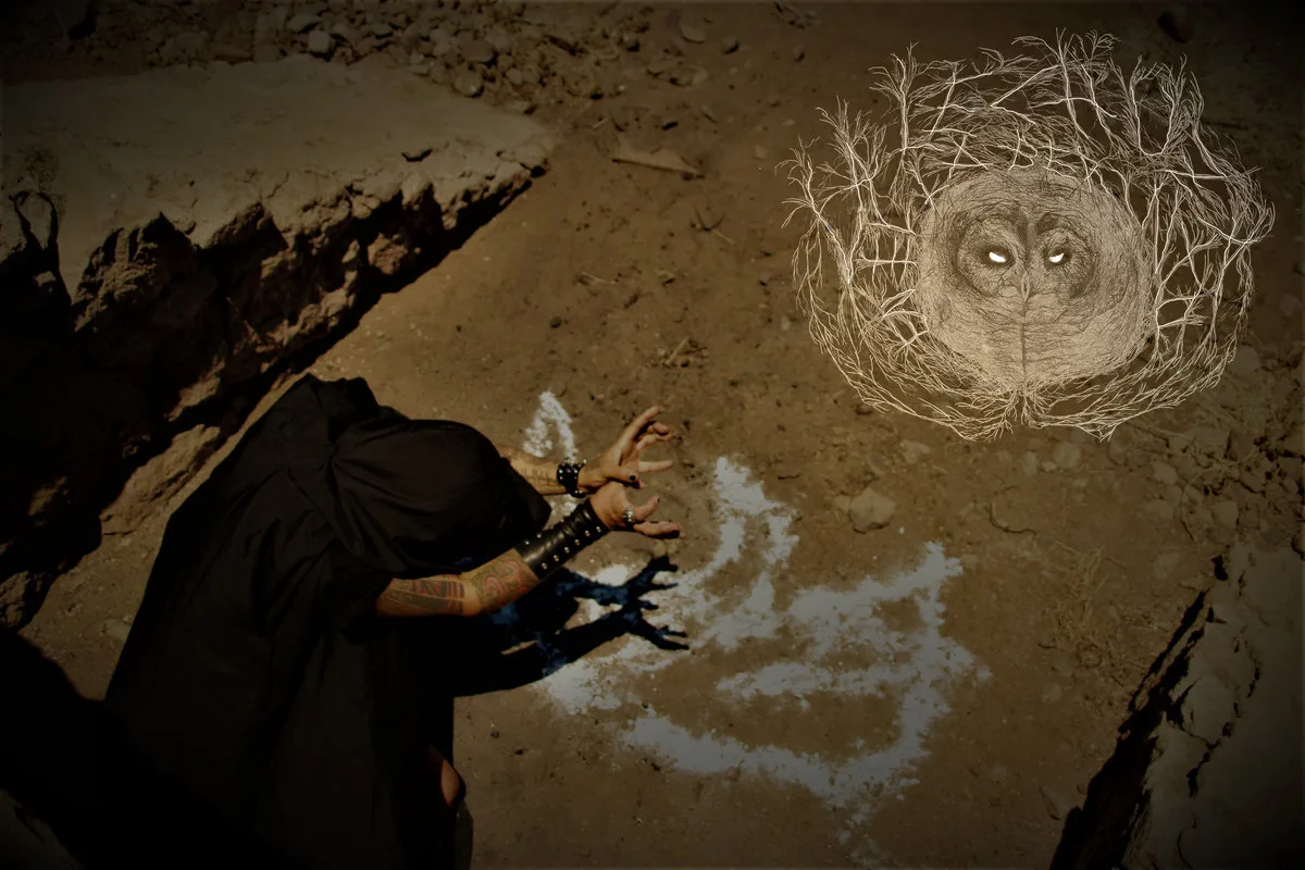 La lechuza en el laberinto cover