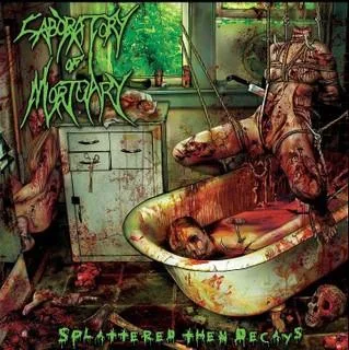 Splattered Then Decays cover