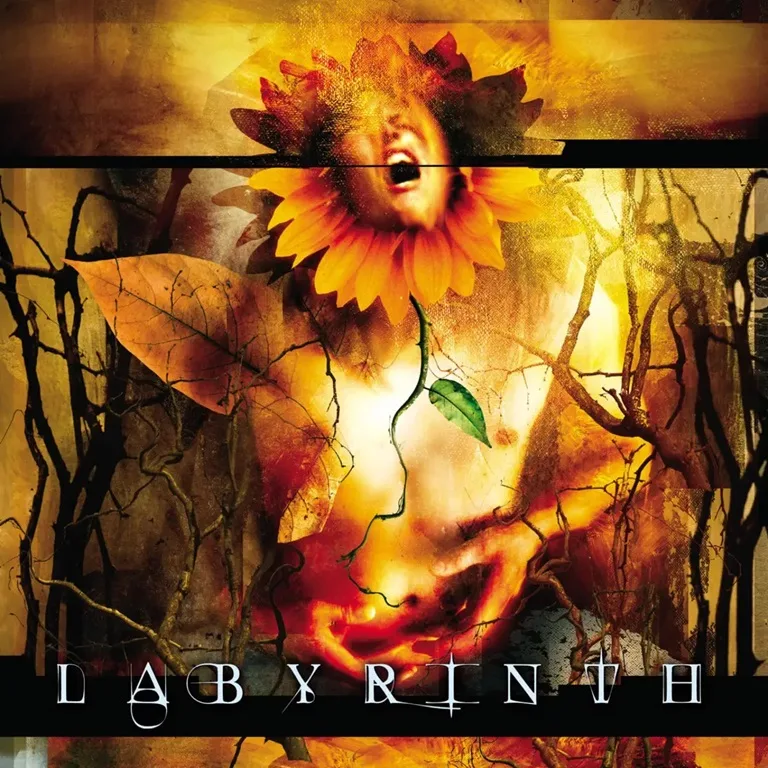 Labyrinth cover