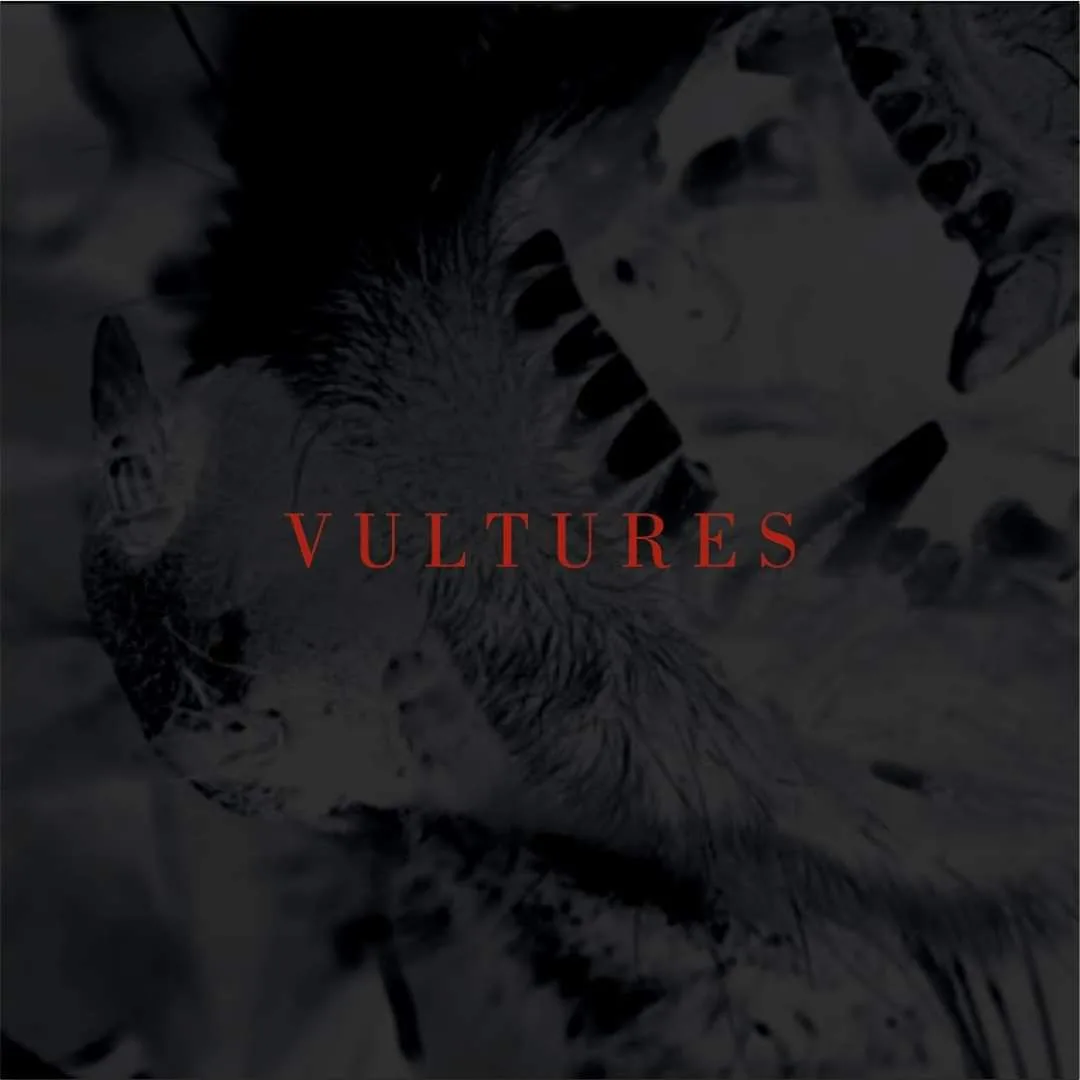 Vultures cover