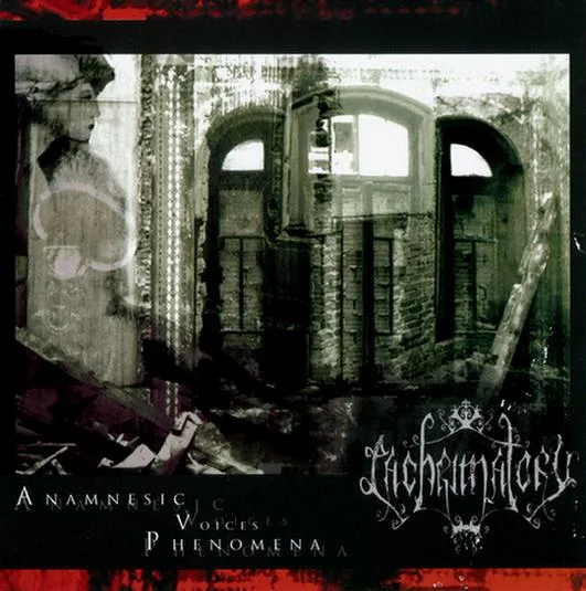 Anamnesic Voices Phenomena cover