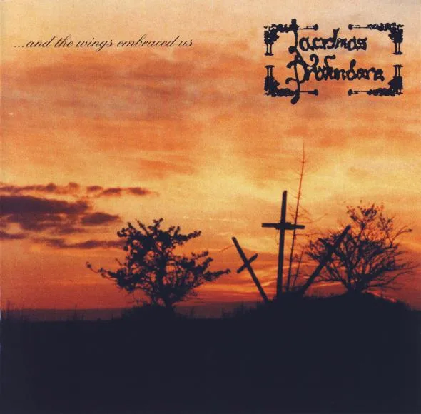 ...and the Wings Embraced Us cover