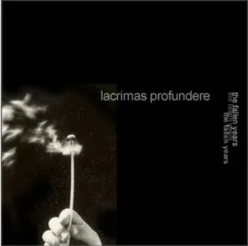 The Fallen Years cover