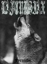Fyrnsidu cover
