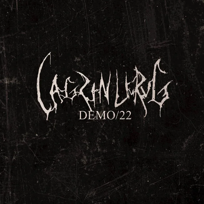 Demo/22 cover