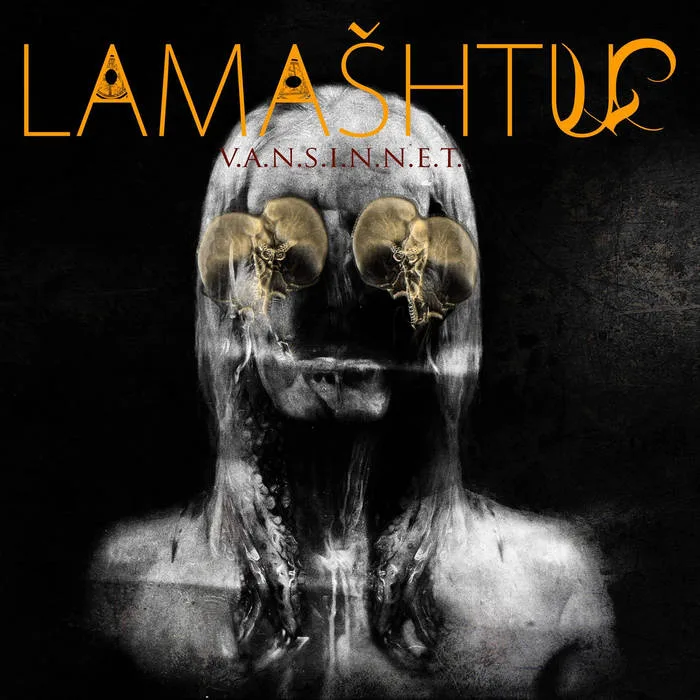 V.A.N.S.I.N.N.E.T. cover