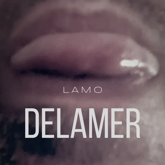 Delamer cover