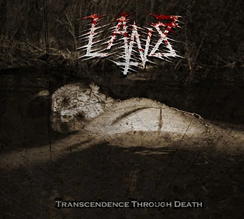 Transcendence Through Death cover