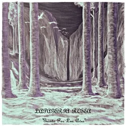 Guiado por las aves cover