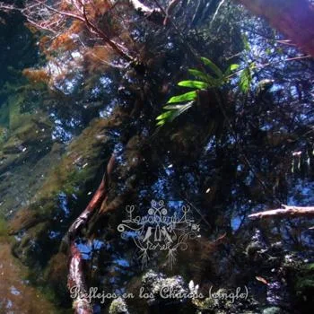 Reflejos en los charcos cover