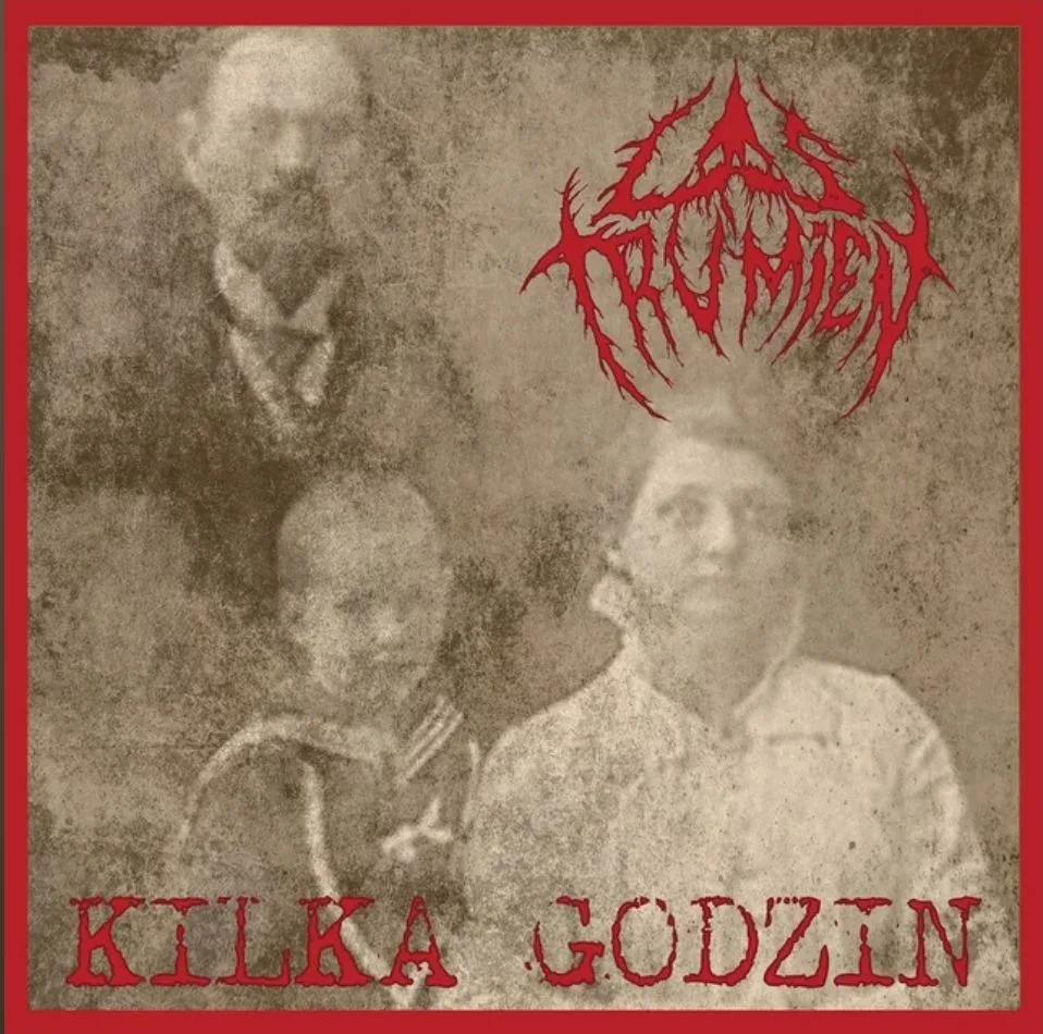 Kilka godzin cover
