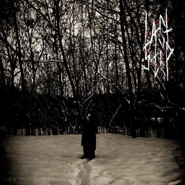 Dark Dreams in the Forest cover