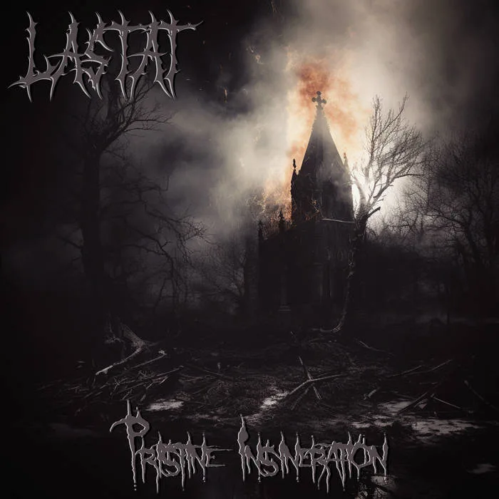Pristine Insineration cover
