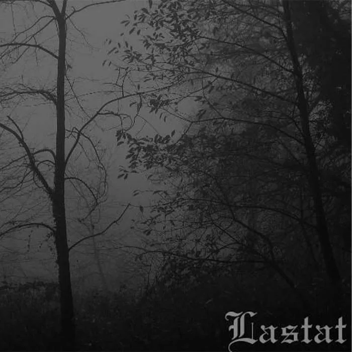 Shadows of Mist cover