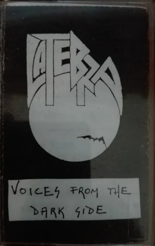 Voices from the Dark Side cover