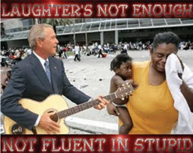 Not Fluent in Stupid cover
