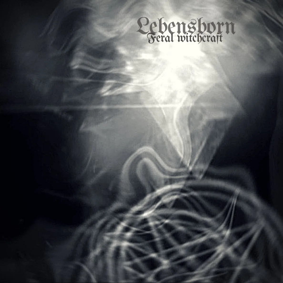 Feral Witchcraft cover