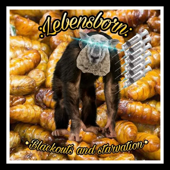 Blackouts and Starvation cover