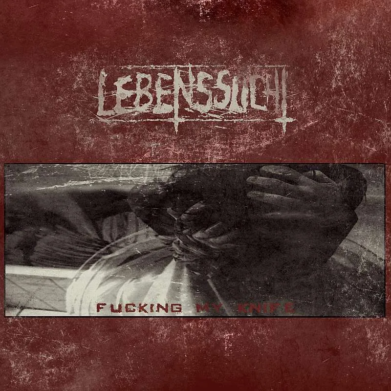 Fucking My Knife cover