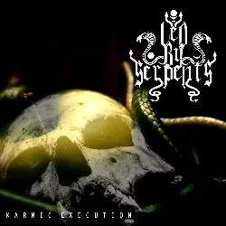 Karmic Execution cover