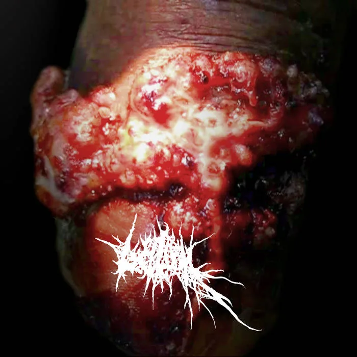 Spring 2022 Demo cover