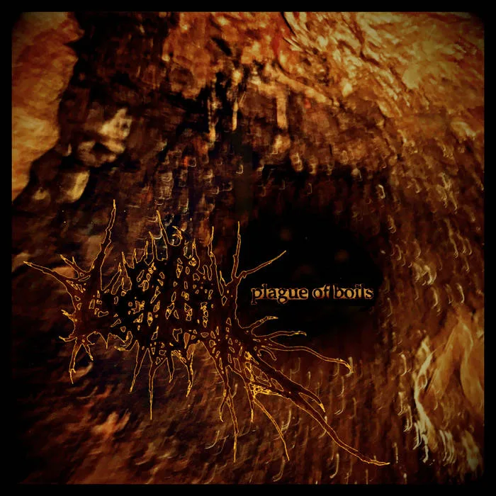 Plague of Boils cover