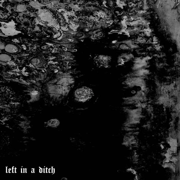Left in a Ditch cover
