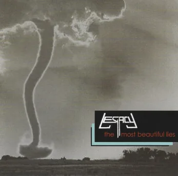 The Most Beautiful Lies cover