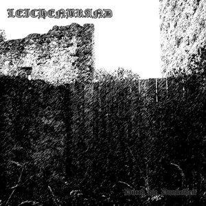 Durch die Dunkelheit cover