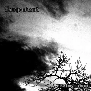 Ein Schneesturm kommt cover